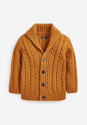 Kraftig strikket cardigan i sennepsgul med sjalskrave, kabelflet og teksturerede mønstre samt fire mørke knapper foran.