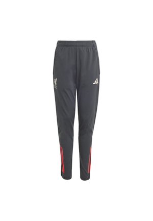 LIVERPOOL FC 25/26 COMPETITION TRAINING PANTS - Article de supporter d'équipe de club - utility black