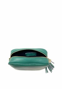 CHICCA BORSE Borsa a tracolla - verde scuro