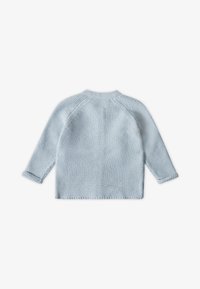 Maglione lavorato a maglia blu chiaro con maniche lunghe, scollatura rotonda e cuciture raglan. Presenta un motivo testurizzato e bordi finiti.