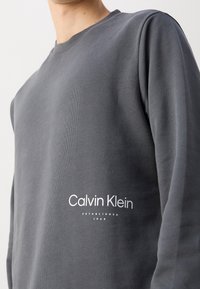 Personne portant un sweat-shirt Calvin Klein gris foncé avec un logo blanc sur la poitrine indiquant "Calvin Klein Established 1968."