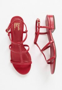 Friends Like These REGULAR FIT - LOW BLOCK CAGED - Sandaalid - red