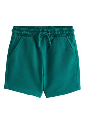 Next Pantaloni sportivi - green
