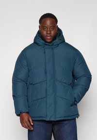 Jack & Jones JJWORLD PUFFER JACKET  - Χειμωνιάτικο μπουφάν - magical forest