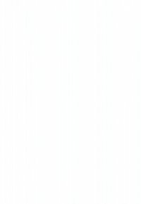 No hay imagen visible para describir. Por favor, proporcione una descripción detallada o intente nuevamente con una imagen diferente.