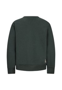 Felpa verde scuro con collo a giro. Polsini e orlo a coste. Presenta un piccolo etichetta con logo sul lato inferiore. Texture del tessuto liscia.