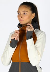 Swedemount NORDIC HYBRID HOODED - Χειμωνιάτικο μπουφάν - offwhite almond
