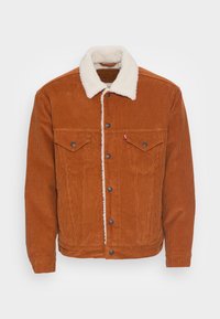 TRUCKER - Casaco de inverno - glazed ginger