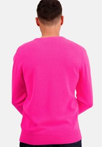 Mahogany HIPPOLYTE - Pullover - dayglo