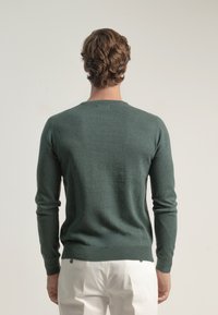 Jersey verde de lana con mangas largas y dobladillo acanalado, que presenta un diseño clásico de cuello redondo. La textura parece suave y ajustada.