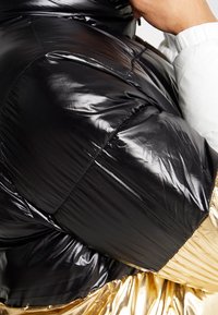 Černá a zlatá péřová bunda s lesklou, proš�ívanou strukturou. Mezi její rysy patří vysoký límec a překrývající se barevné panely na rukávech.