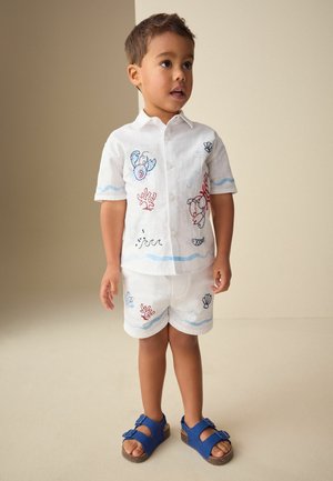 Young boy standing, wearing white shirt and shorts with blue and red sea-themed embroidery, and blue sandals.