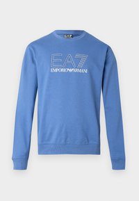 Gaiši zils džemperis no kokvilnas maisījuma. Tam ir apaļa kakla izgriezums, garas piedurknes un priekšpusē baltā krāsā ar kontūrām izgreznots logotips.