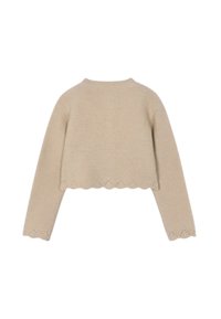 Maglione corto beige lavorato a maglia con maniche lunghe, caratterizzato da dettaglio orlo smerlato e scollatura rotonda, texture liscia.