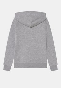 Gray hoodie with a soft texture, drawstring hood, long sleeves, and ribbed cuffs and hem. The back has a smooth, unadorned surface.