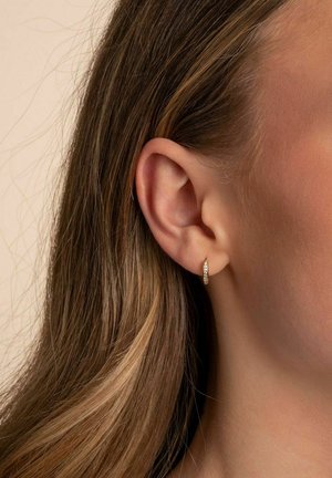 Profilvy av en kvinna med långt, vågigt hår, som bär en liten, glittrande hoop-örhänges på sitt högra öra mot en neutral bakgrund.