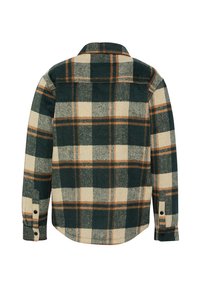 Camicia in flanella a quadretti verdi e crema, con dettagli in marrone, maniche lunghe, colletto e polsini con bottone. Vista posteriore mostrata.