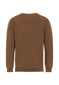 Brązowy sweter z dzianiny z długimi rękawami, okrągłym dekoltem i teksturowanym wykończeniem. Brak widocznych ozdób lub wzorów.