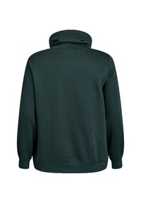 Felpa con cappuccio verde scuro, a maniche lunghe e colletto alto. Realizzata in tessuto morbido, presenta una texture liscia e polsini e orlo a coste.