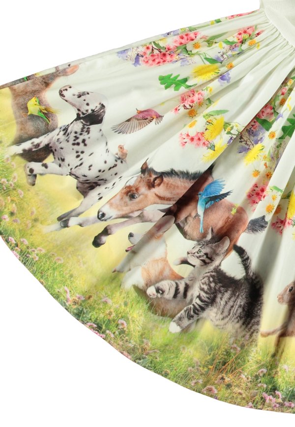 CASSANDRA - Day dress3