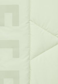 Elbsand STEPP - Weste - limette