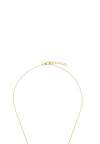 Guld färgad kedja halsband med en delikat, tunn design, med en hummerlås och justerbar längd med en kedjeförlängning.