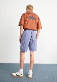 Carhartt WIP FLINT - Shorts - bay blue