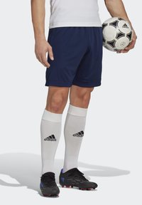 Shorts de sport bleus, chaussettes blanches montantes avec logo Adidas noir, crampons de football noirs avec accents rouges, tenant un ballon de football noir et blanc.