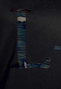 Schwarzer Stoff mit einem großen, schimmernden Buchstaben "L" und vertikalen Streifenmustern. Glatte Textur mit dezentem Glanz.