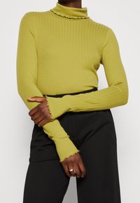 Oliivinvihreä ribbed turtleneck -neule, jossa on röyhelökaulus ja -hihojen reunat. Varustettu pitkillä hihoilla ja tiukalla siluetilla, yhdistettynä mustiin housuihin.