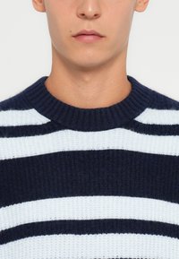 Pullover lavorato a maglia con righe orizzontali blu navy e azzurro chiaro, colletto rotondo a coste e tessuto testurizzato. Vista ravvicinata che mette in evidenza la parte superiore del corpo.