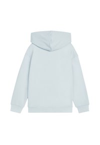 Ljusblå huvtröja, tillverkad av mjukt tyg, med avslappnad passform och ribbade ärmslut. Baksidan är slät utan dekorationer.