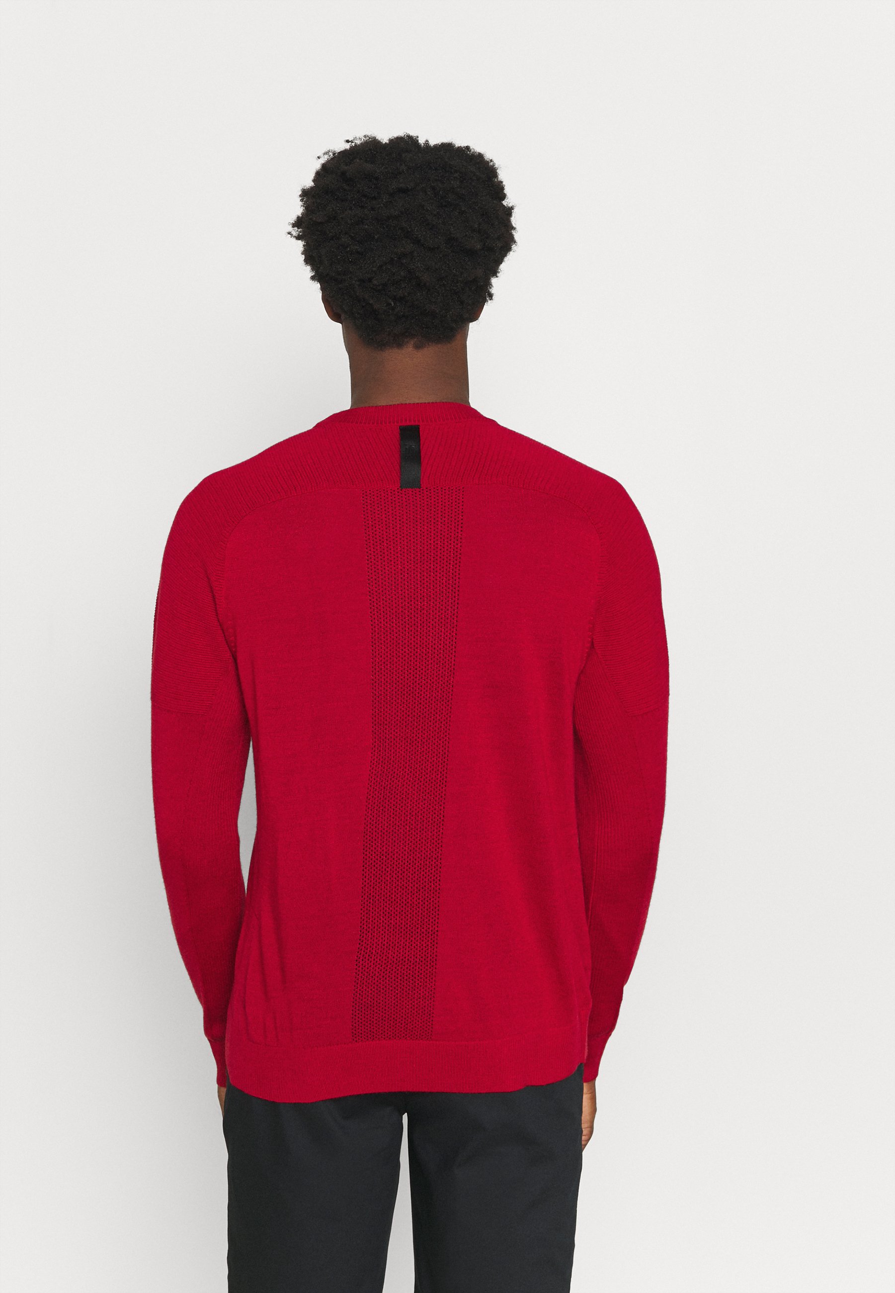 Nike Golf TIGER WOODS CREW - Jumper 