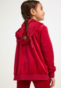 Rød velour-hoodie med snøre ved halsen, ribbede manchetter og kant. Blød tekstur og slank silhuet, vist fra side- og bagvinkel.