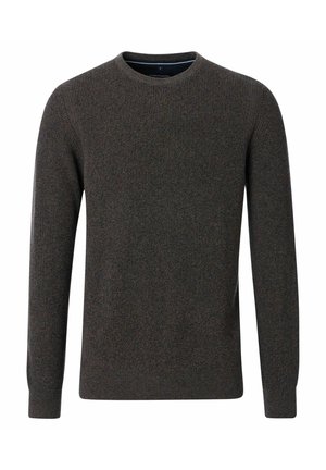 MIT RUNDHALSAUSSCHNITT - Jumper - braun