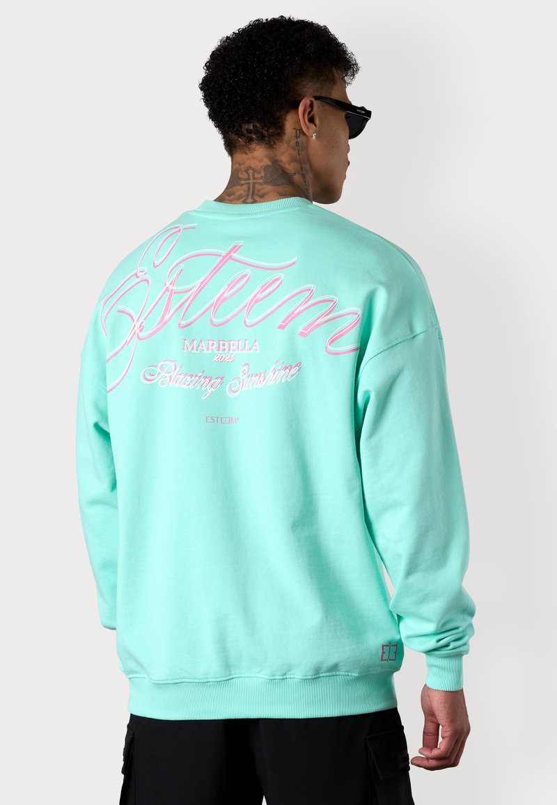 Mint green sweatshirt with long sleeves, featuring large pink text on the back, ribbed cuffs, and a standard crew neckline.