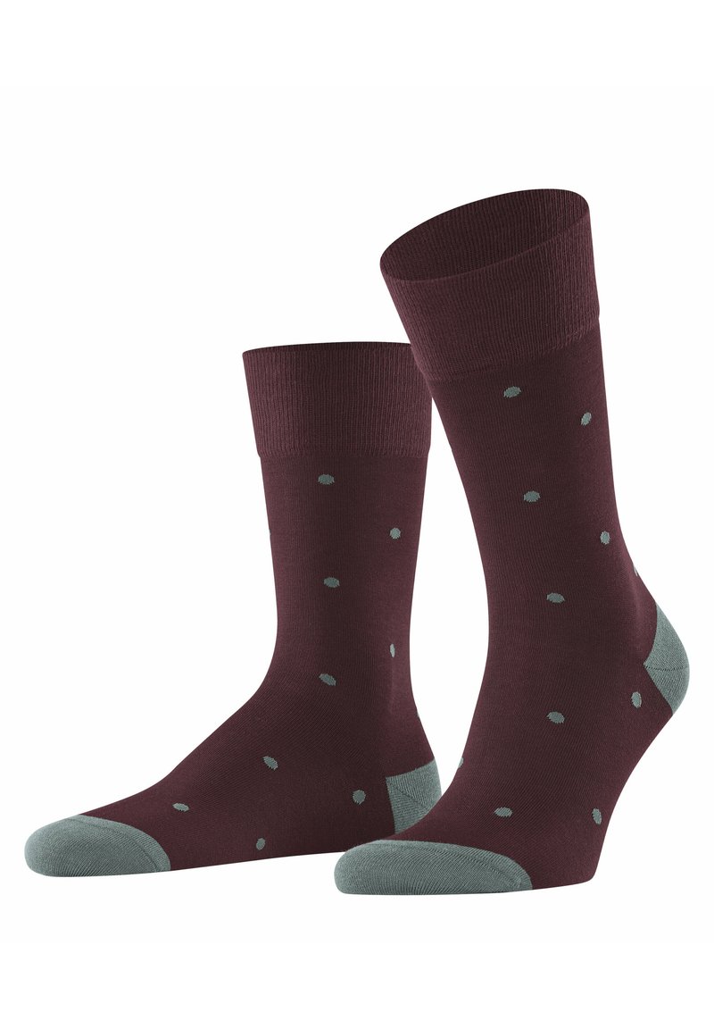 FALKE DOT - Calze - barolo