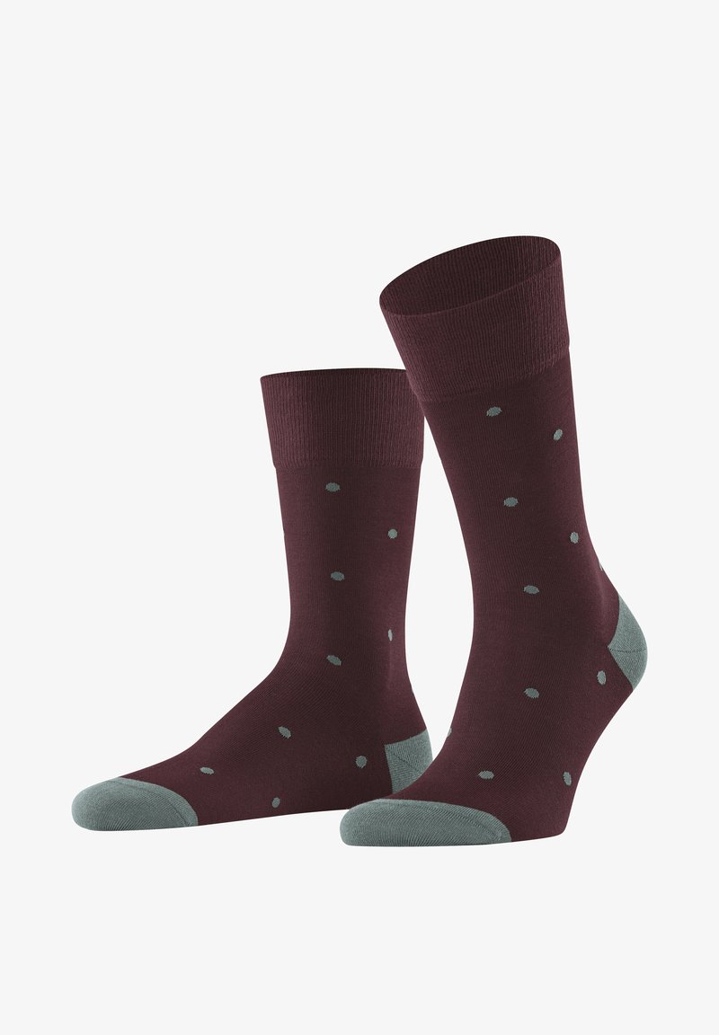FALKE DOT - Socken - barolo