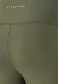 Endurance FRANZA ATMUNGSAKTIVE FUNKTIONS - Tights - tea leaf