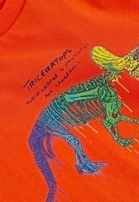 Next SHORT SLEEVE GRAPHIC 3 PACK STANDARD - T-Shirt print - red grey blue
