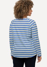 Langarmshirt mit blauen, hellblauen und grünen horizontalen Streifen. Weiches Material mit abgerundetem Saum und Raglanärmeln. Rückansicht.