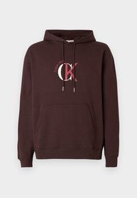 Calvin Klein Jeans GRAPHIC HOODIE - Φούτερ - rich brown