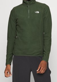 Pullover in fleece verde scuro con collo a mezza zip e logo The North Face. Presenta maniche lunghe e una texture liscia con dettagli cuciti.