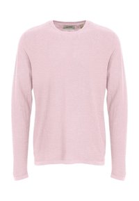 Svijetlopinkasti dugih rukava pulover s okruglim izrezom. Tekstura tkanine je meka i ugodna na dodir, s minimalnim detaljima i bez vidljivih metalnih dijelova.