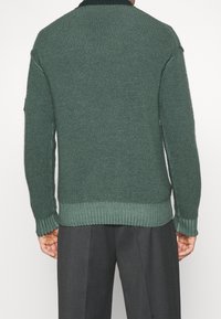 Pull en maille verte avec un tissu texturé, des poignets et un ourlet côtelés. Il présente un col noir et un écusson sur le haut de la manche. Vue de dos affichée.