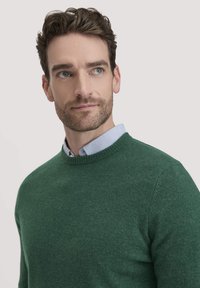 Grüner Strickpullover mit rundem Ausschnitt, getragen über einem hellblauen Hemd mit Kragen. Die Textur wirkt weich mit einer glatten Oberfläche.