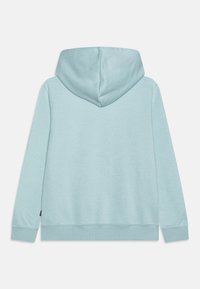 Felpa blu chiaro, in morbido cotone misto, con un grande cappuccio, maniche lunghe e polsini a coste. Design semplice, senza pattern o dettagli visibili.