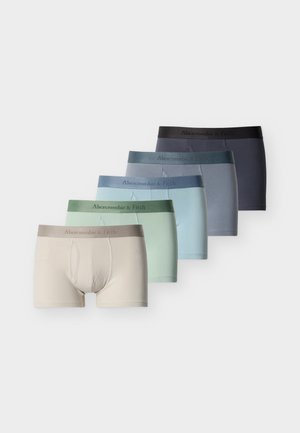 CORE TRUNK 5 PACK   - Trunks - beige/dark blue/light green/light blue/grey