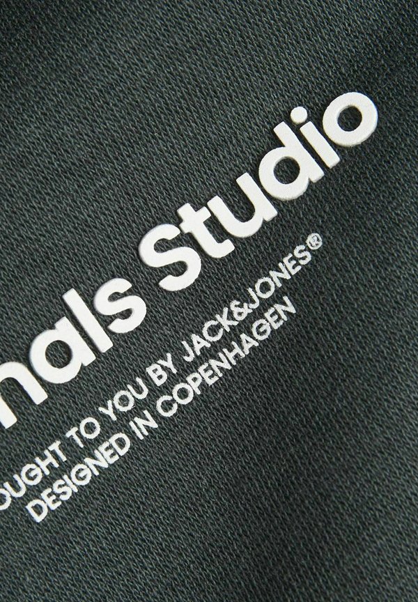 JORVESTERBRO - Hoodie - forest river3