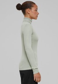 Hellgrüner Rollkragenpullover, figurbetontes Design, gerippte Bündchen und Saum, glatte Textur, lange Ärmel, minimalistische Details.